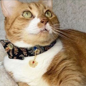 Bandana with charm for a small dog or cat snap on cotton